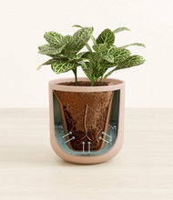 Load image into Gallery viewer, Sandy Pink