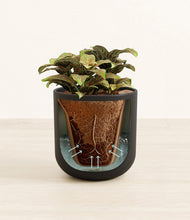 Load image into Gallery viewer, Stone Black