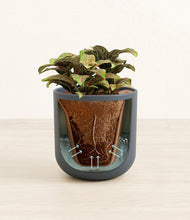 Load image into Gallery viewer, Iron Gray