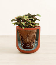 Load image into Gallery viewer, Earth Red