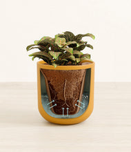 Load image into Gallery viewer, Sunset Orange