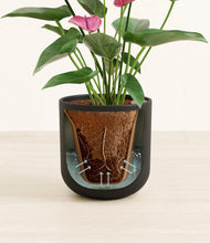 Load image into Gallery viewer, Stone Black