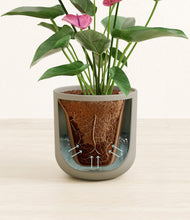 Load image into Gallery viewer, Sage Green