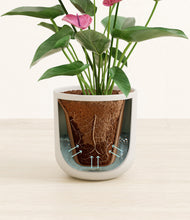 Load image into Gallery viewer, Natural Bamboo