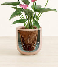 Load image into Gallery viewer, Sandy Pink