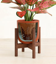 Load image into Gallery viewer, Earth Red stand:walnut