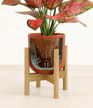 Load image into Gallery viewer, Earth Red stand:bamboo