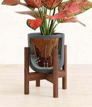 Load image into Gallery viewer, Iron Gray stand:walnut