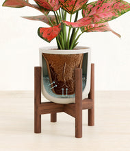 Load image into Gallery viewer, Natural Bamboo stand:walnut