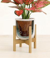 Load image into Gallery viewer, Natural Bamboo stand:bamboo