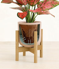 Load image into Gallery viewer, Sandy Pink stand:bamboo
