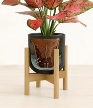 Load image into Gallery viewer, Stone Black stand:bamboo
