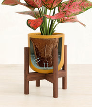 Load image into Gallery viewer, Sunset Orange stand:walnut
