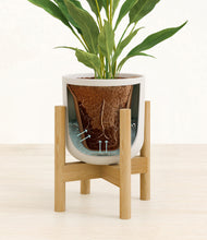 Load image into Gallery viewer, Natural Bamboo stand:bamboo