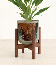 Load image into Gallery viewer, Sage Green stand:walnut