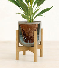 Load image into Gallery viewer, Sage Green stand:bamboo