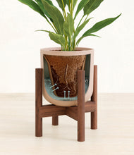 Load image into Gallery viewer, Sandy Pink stand:walnut