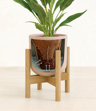 Load image into Gallery viewer, Sandy Pink stand:bamboo
