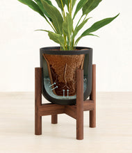 Load image into Gallery viewer, Stone Black stand:walnut