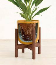 Load image into Gallery viewer, Sunset Orange stand:walnut