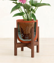 Load image into Gallery viewer, Earth Red stand:walnut