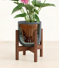 Load image into Gallery viewer, Iron Gray stand:walnut