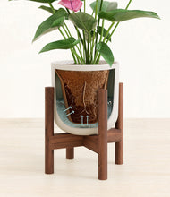 Load image into Gallery viewer, Natural Bamboo stand:walnut