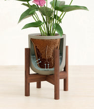 Load image into Gallery viewer, Sage Green stand:walnut