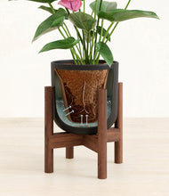 Load image into Gallery viewer, Stone Black stand:walnut