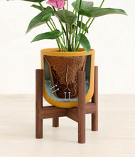 Load image into Gallery viewer, Sunset Orange stand:walnut