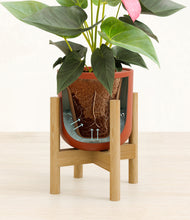 Load image into Gallery viewer, Earth Red stand:bamboo