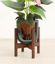 Load image into Gallery viewer, Iron Gray stand:walnut