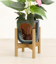 Load image into Gallery viewer, Iron Gray stand:bamboo