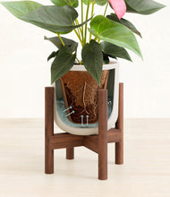 Load image into Gallery viewer, Natural Bamboo stand:walnut