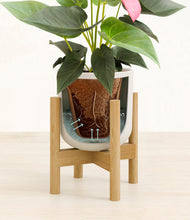 Load image into Gallery viewer, Natural Bamboo stand:bamboo