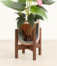 Load image into Gallery viewer, Sandy Pink stand:walnut