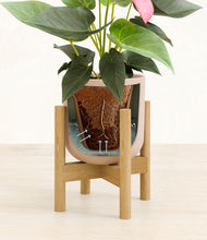 Load image into Gallery viewer, Sandy Pink stand:bamboo