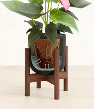 Load image into Gallery viewer, Stone Black stand:walnut