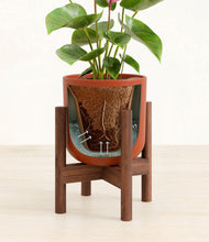 Load image into Gallery viewer, Earth Red stand:walnut