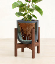 Load image into Gallery viewer, Iron Gray stand:walnut