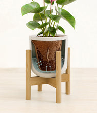 Load image into Gallery viewer, Natural Bamboo stand:bamboo