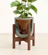 Load image into Gallery viewer, Sage Green stand:walnut