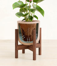Load image into Gallery viewer, Sandy Pink stand:walnut