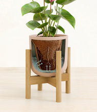 Load image into Gallery viewer, Sandy Pink stand:bamboo