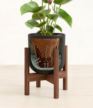 Load image into Gallery viewer, Stone Black stand:walnut