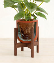 Load image into Gallery viewer, Earth Red stand:walnut