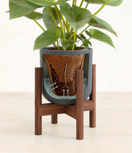 Load image into Gallery viewer, Iron Gray stand:walnut