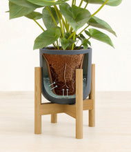 Load image into Gallery viewer, Iron Gray stand:bamboo