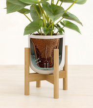 Load image into Gallery viewer, Natural Bamboo stand:bamboo
