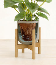 Load image into Gallery viewer, Sage Green stand:bamboo